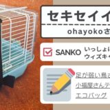 [SANKO 004] ohayokoさん / セキセイインコ