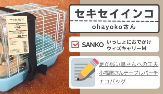 [SANKO 004] ohayokoさん / セキセイインコ